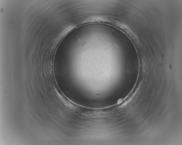 X0000071851233200607141742