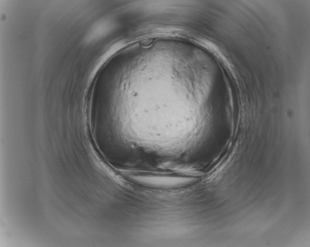 X0000071851235200607141742