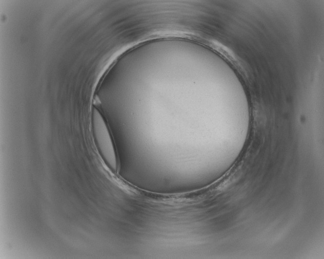 X0000071851236200607141742