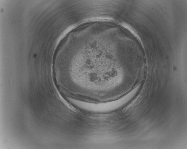 X0000071851237200607141742