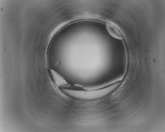 X0000071851238200607141742