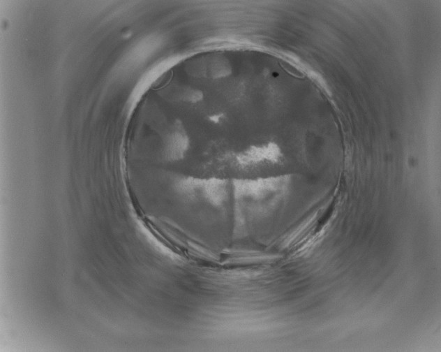 X0000071851239200607141742