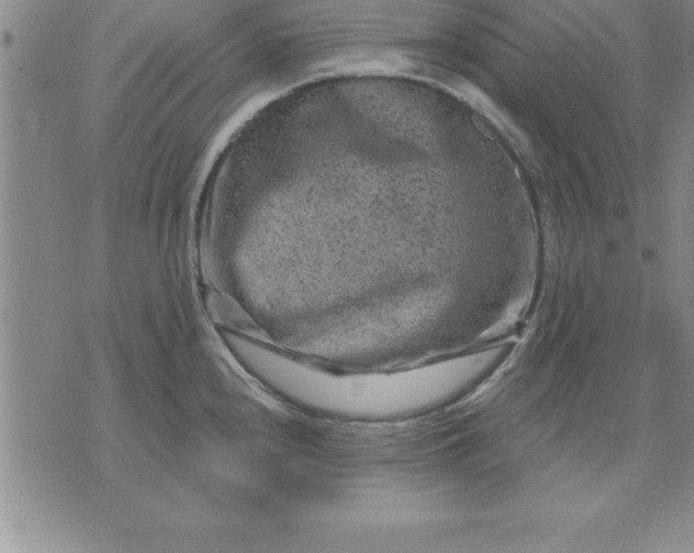 X0000071851240200607141742