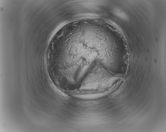 X0000071851243200607141742