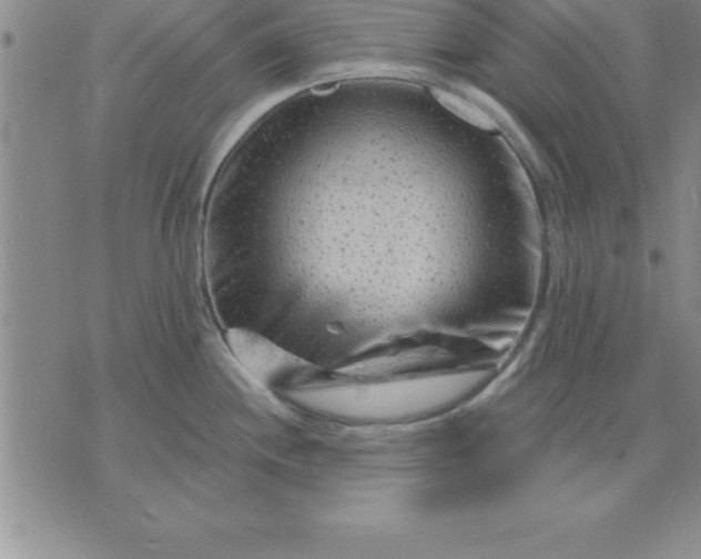 X0000071851244200607141742