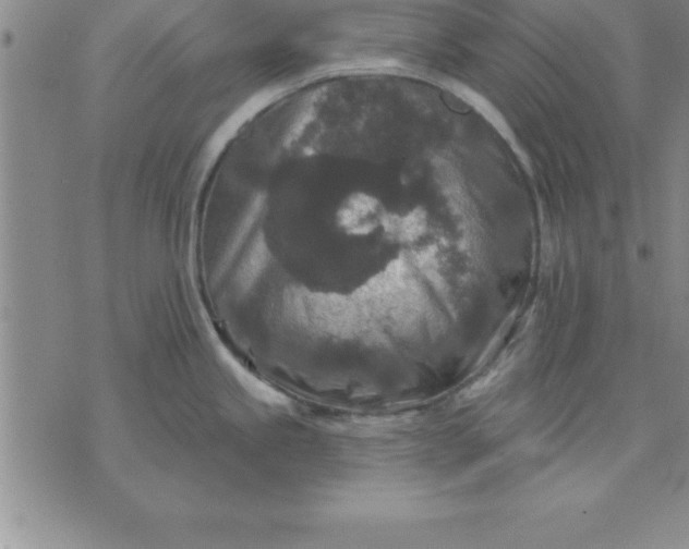 X0000071851245200607141742