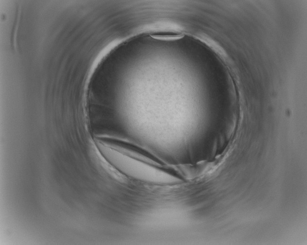 X0000071851248200607141742