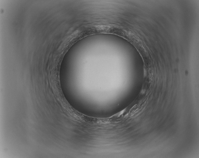 X0000071851249200607141741