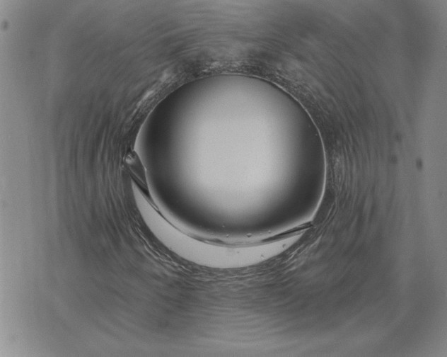 X0000071851250200607141741