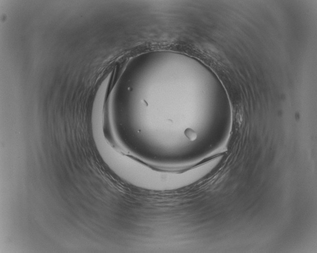 X0000071851252200607141741