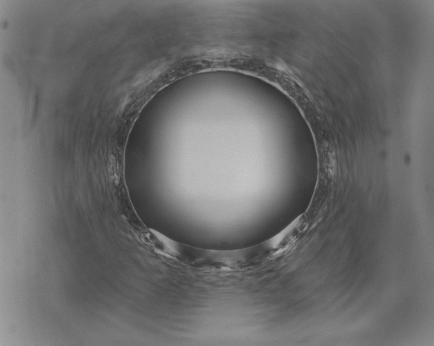 X0000071851253200607141741