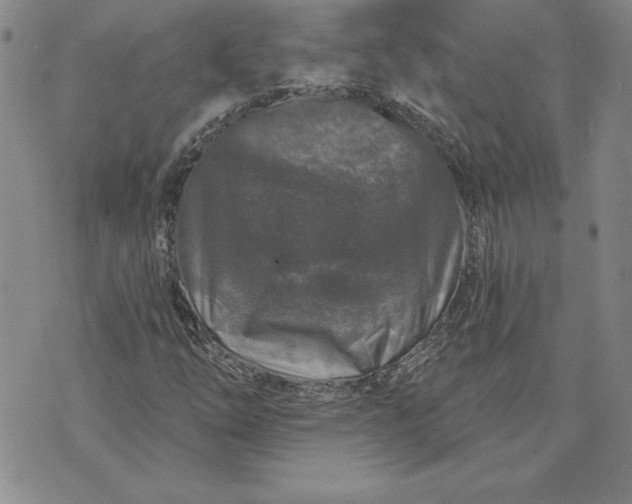 X0000071851254200607141741