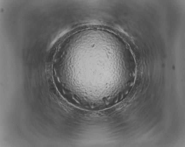 X0000071851255200607141741