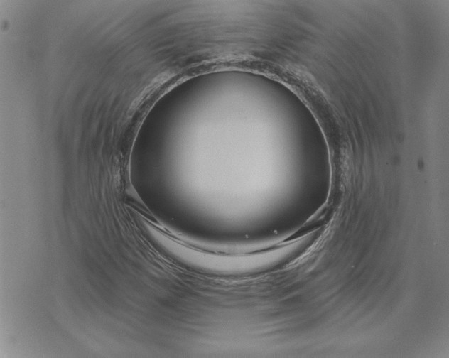 X0000071851257200607141741