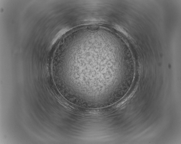 X0000071851259200607141741