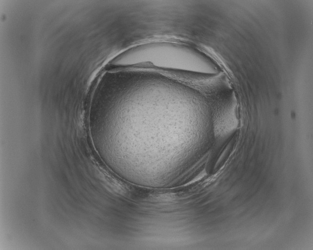 X0000071851260200607141741