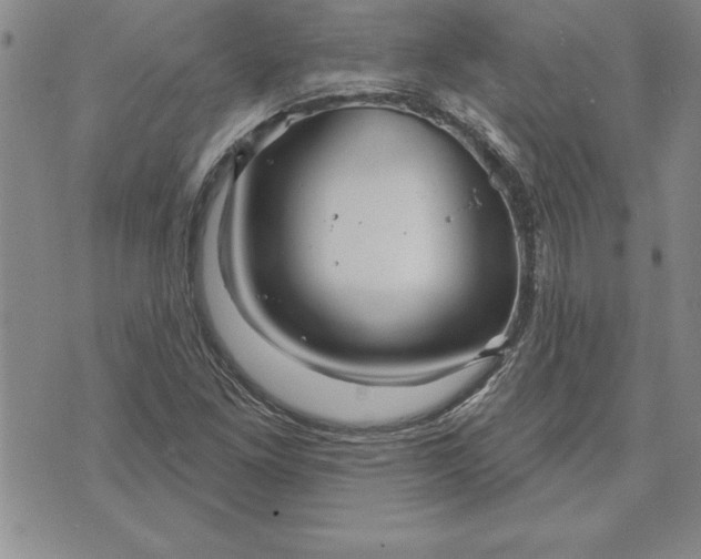 X0000071851261200607141741