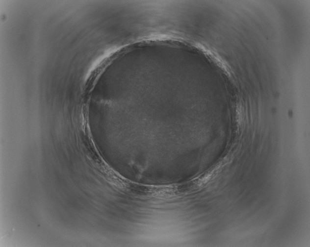 X0000071851262200607141741