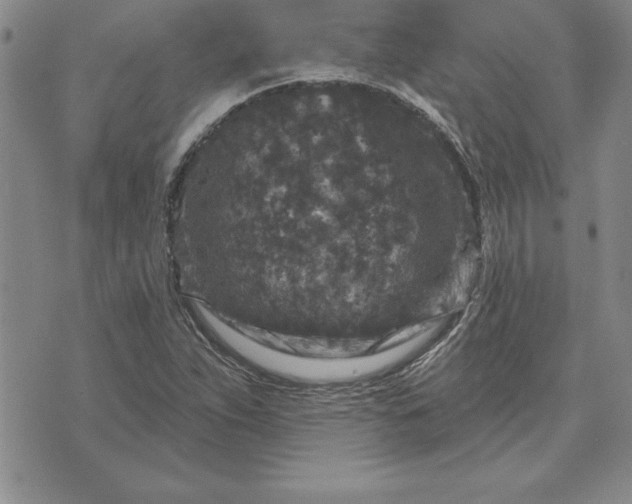 X0000071851263200607141741