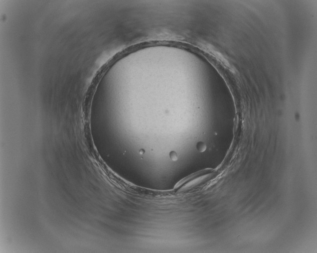 X0000071851264200607141741