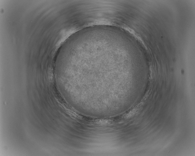 X0000071851266200607141741