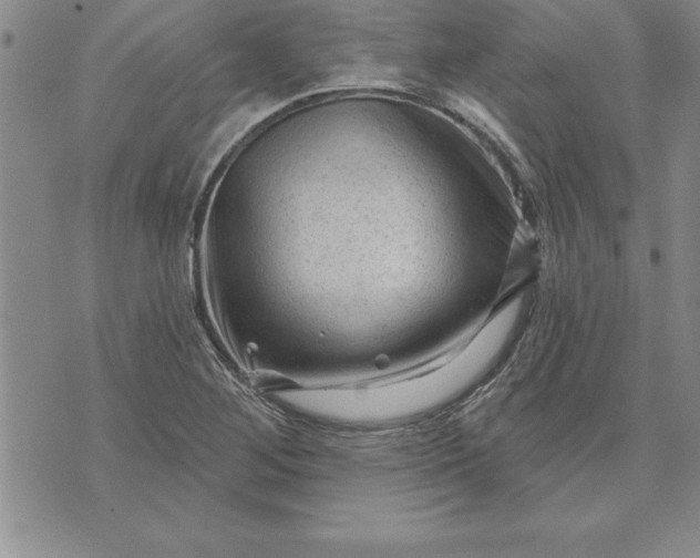 X0000071851268200607141741