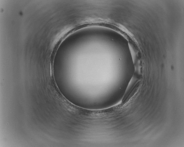 X0000071851269200607141741