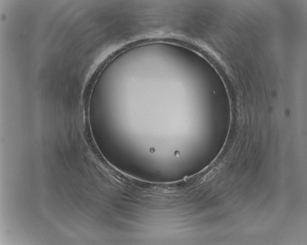 X0000071851270200607141741