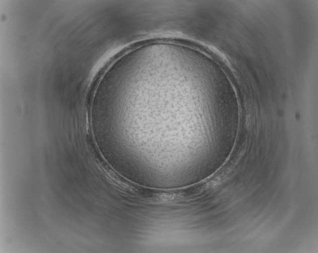 X0000071851271200607141741