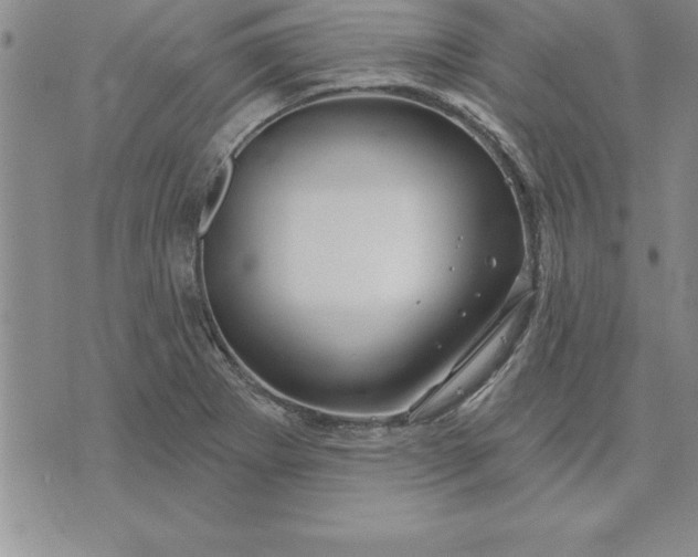 X0000071851273200607141741