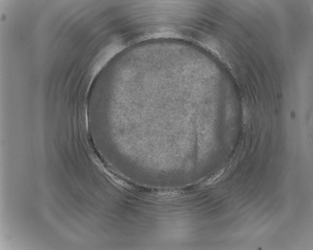 X0000071851274200607141741