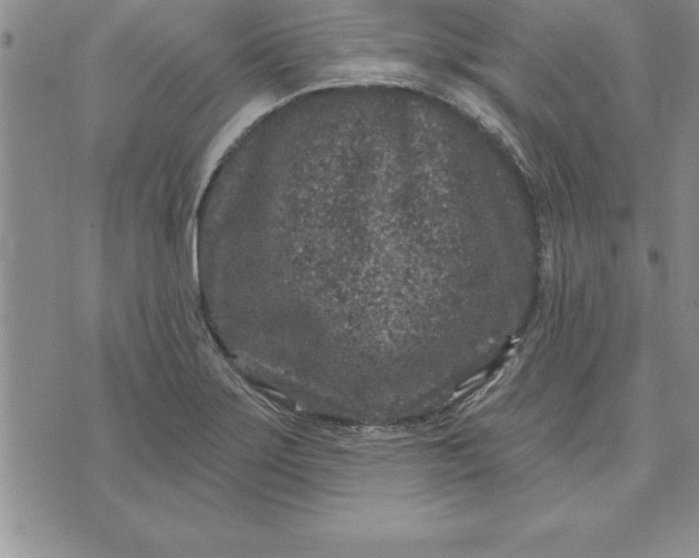 X0000071851275200607141741