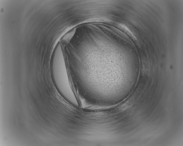 X0000071851276200607141741