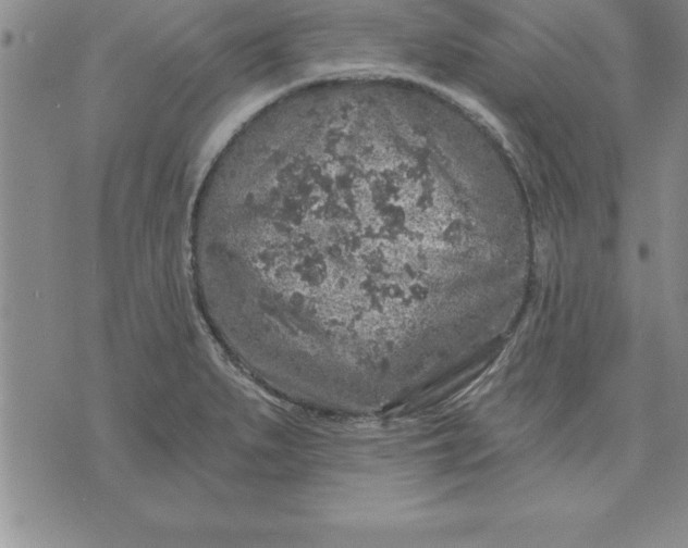 X0000071851279200607141741