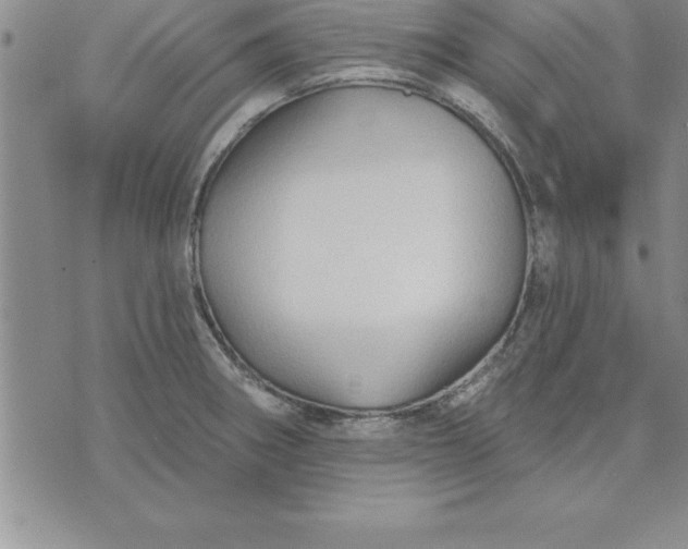 X0000071851282200607141741