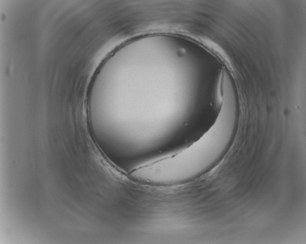 X0000071851288200607141741