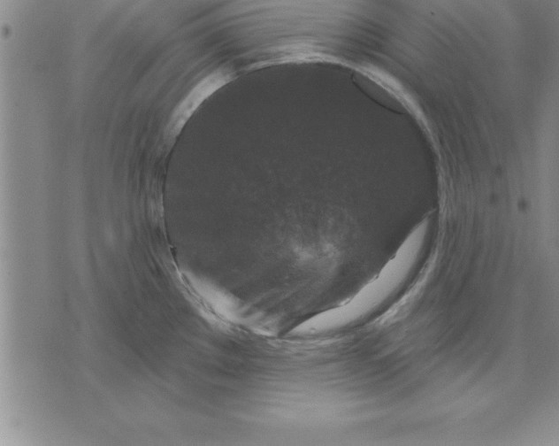 X0000071851289200607141741