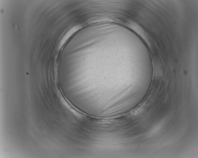 X0000071851290200607141741