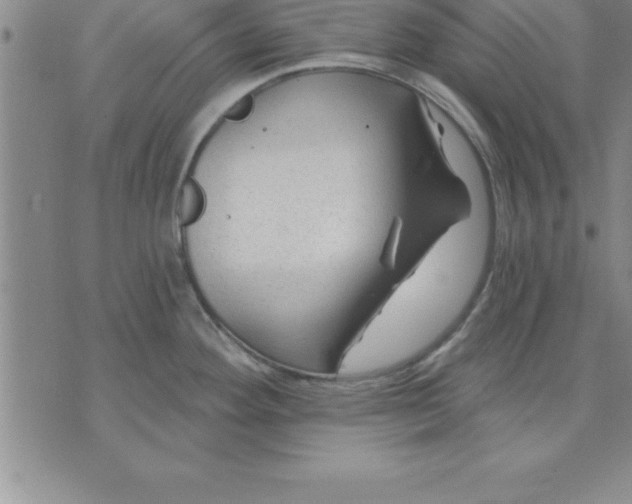 X0000071851292200607141741