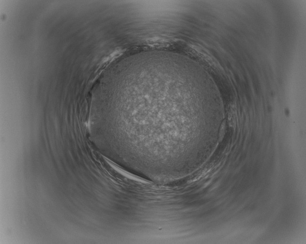 X0000071851298200607141740