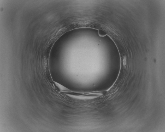 X0000071851299200607141740