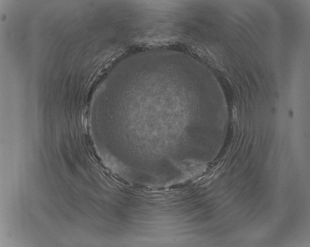 X0000071851300200607141740