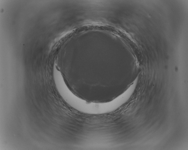 X0000071851303200607141740