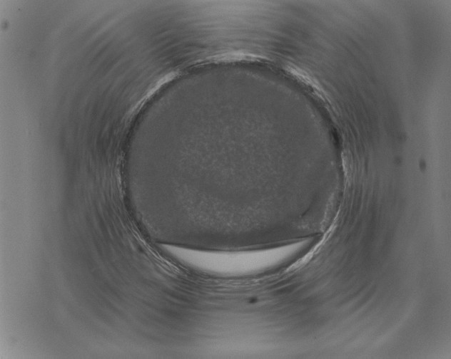 X0000071851305200607141740