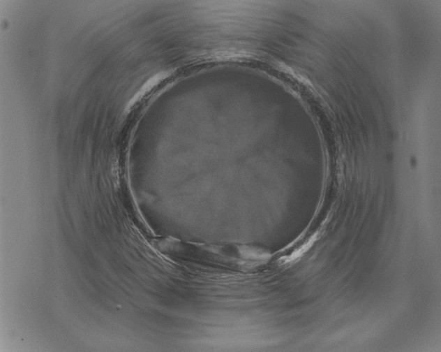 X0000071851306200607141740