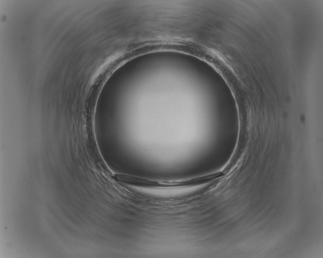 X0000071851307200607141740