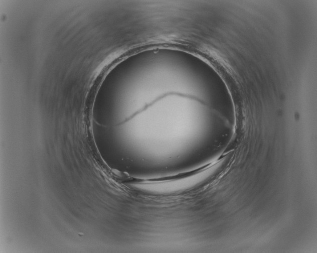 X0000071851308200607141740