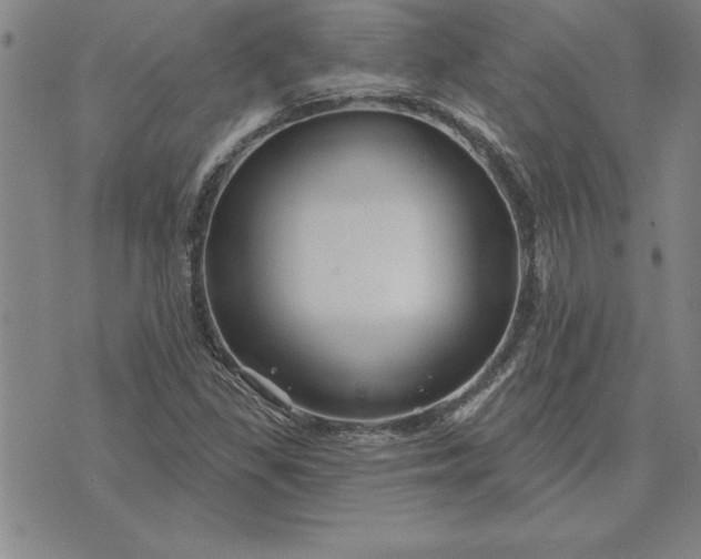 X0000071851309200607141740