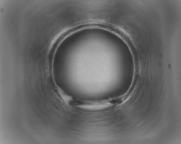 X0000071851310200607141740