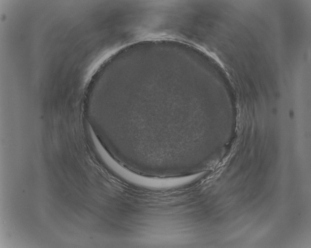 X0000071851311200607141740